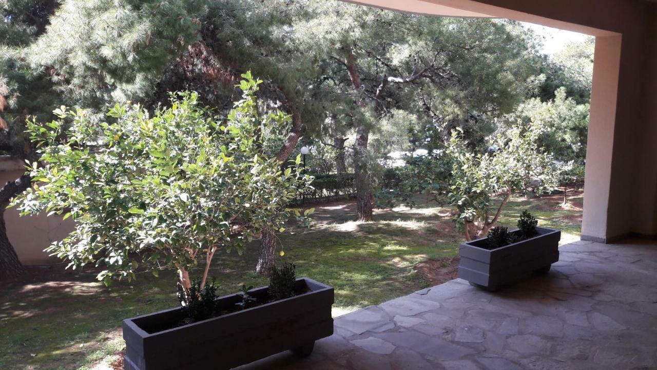 Amazing Apartment Atene Esterno foto